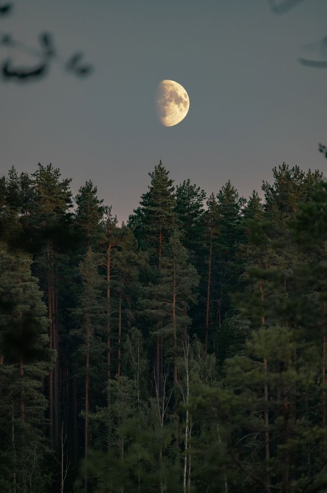 Photograph by Рыжков Юрий