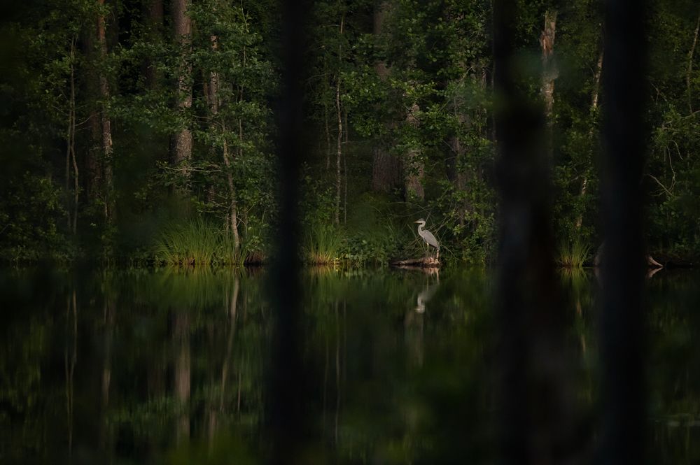Photograph by Рыжков Юрий