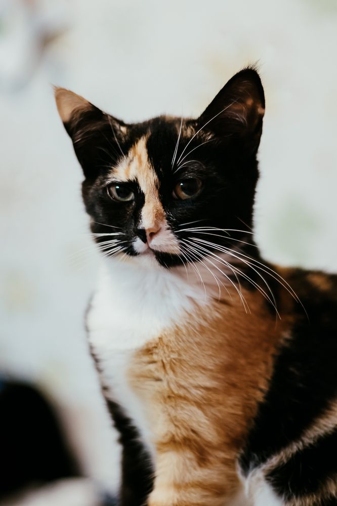 Photograph by Надежда Гончарук