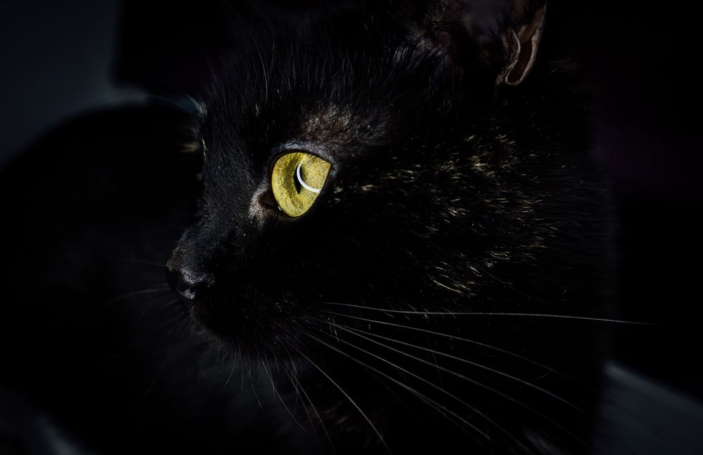 Photograph by Надежда Гончарук