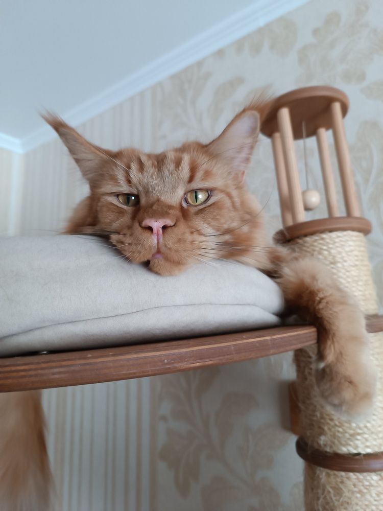 Photograph by Olga Kot