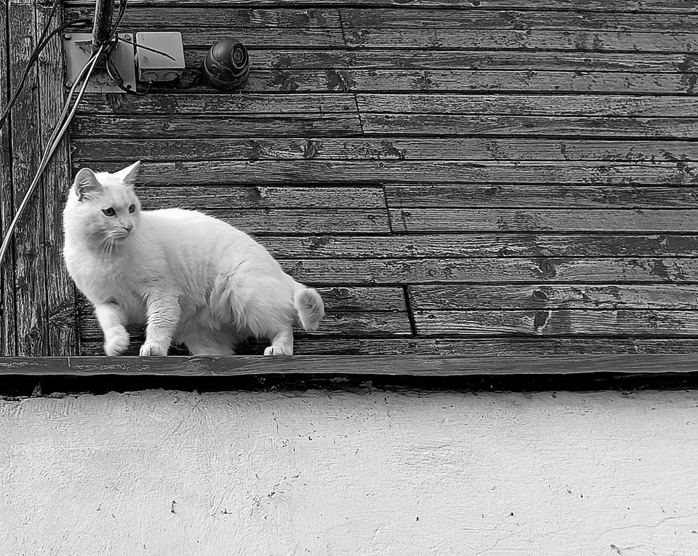 Photograph by Olga Kot