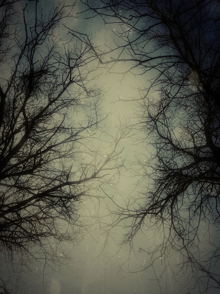 Photograph by Nikolett Mengyi