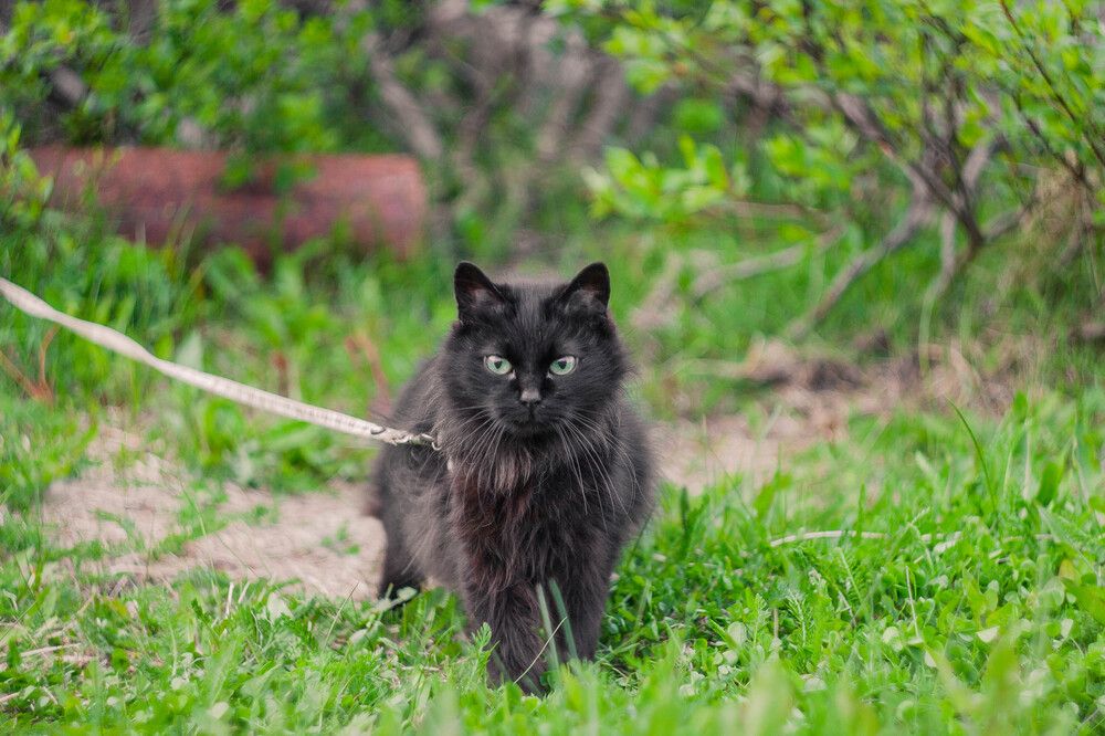 Photograph by Alina Bystrova