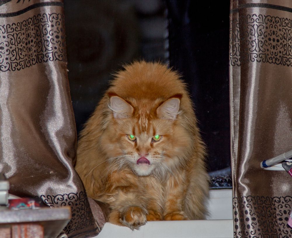 Photograph by Alina Bystrova