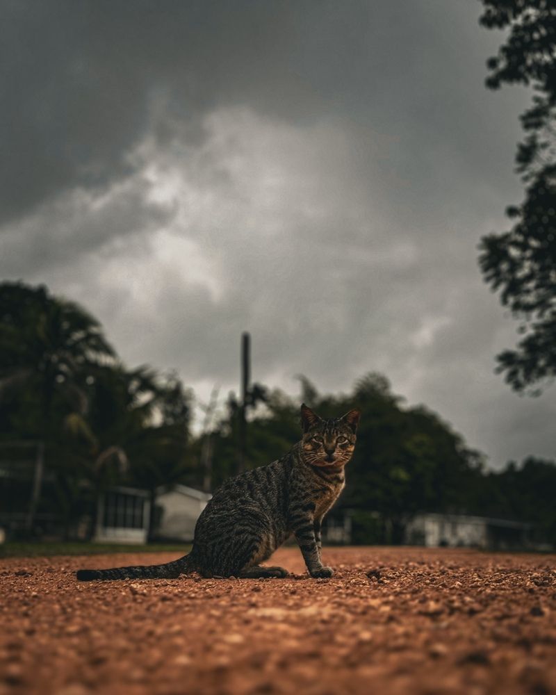 Photograph by Олеся Кузьмичева