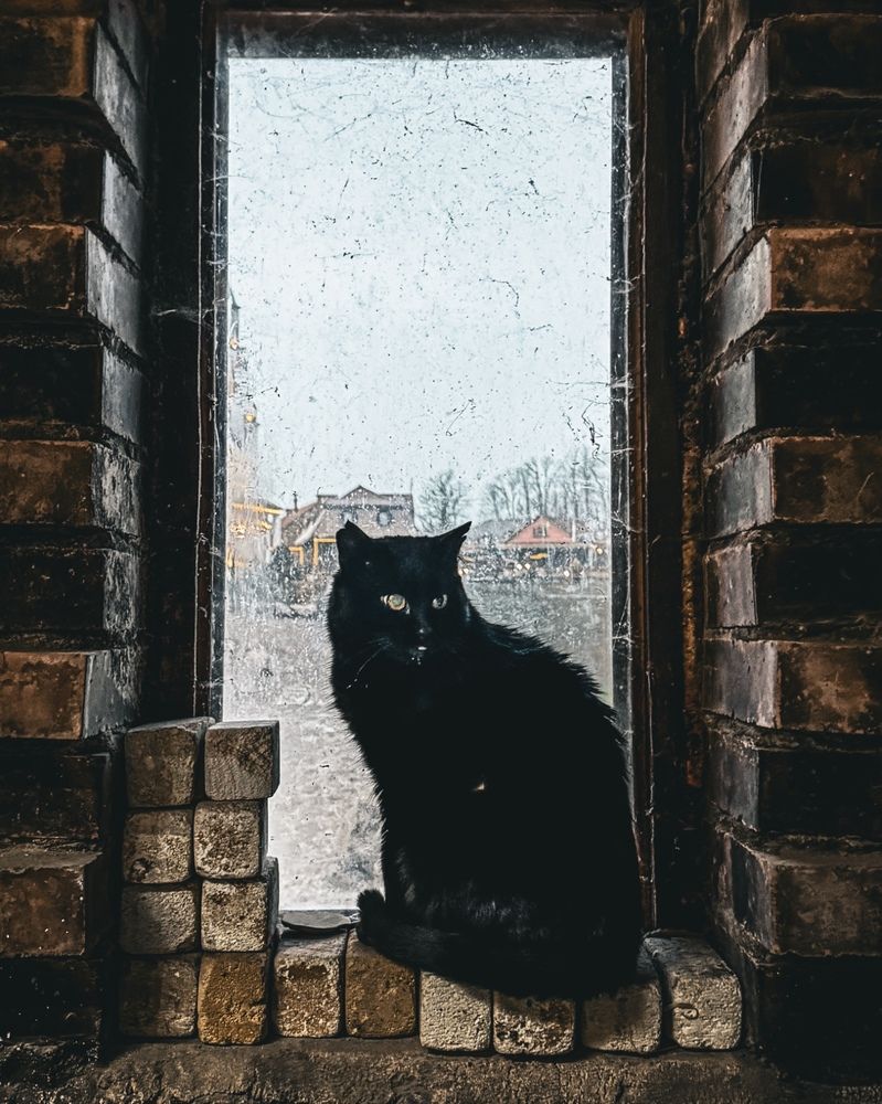 Photograph by Олеся Кузьмичева