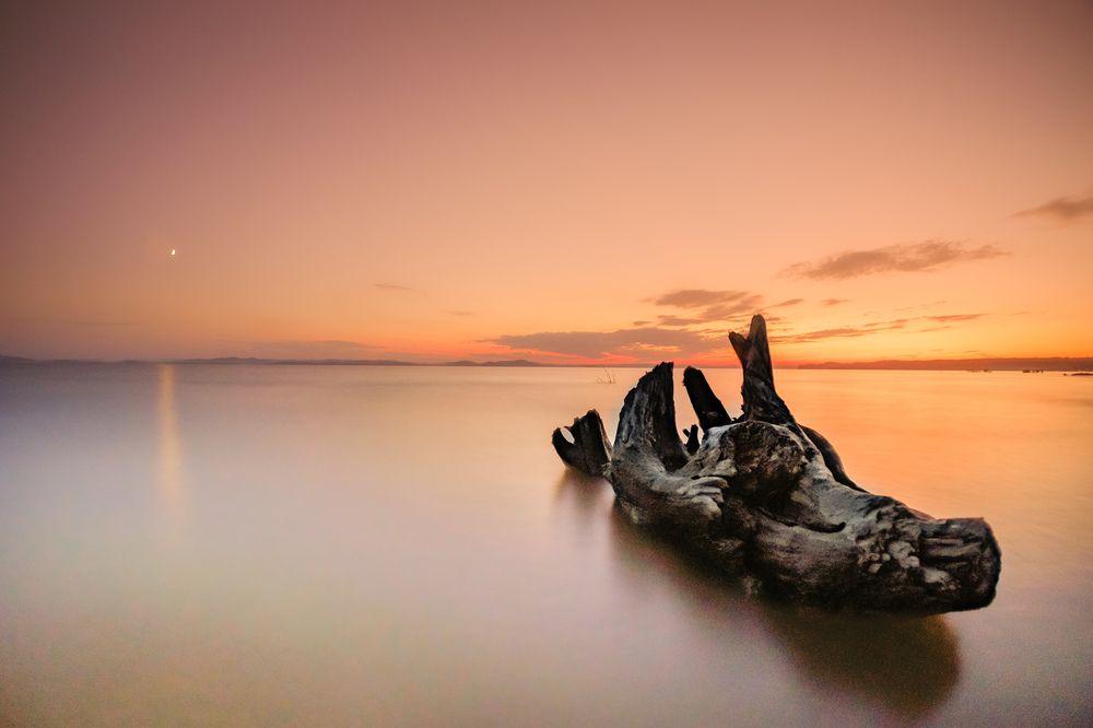 Photograph by Константин Белоногов