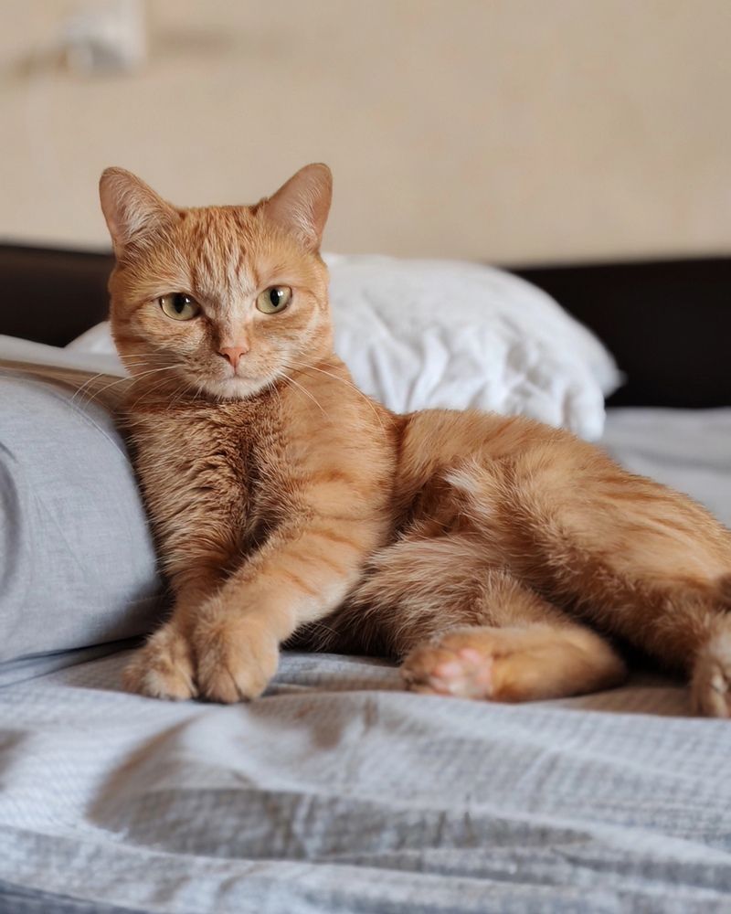 Photograph by Альбина