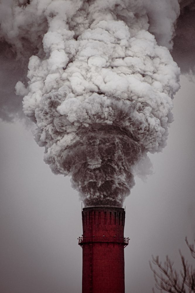 Photograph by Елена Берсенёва