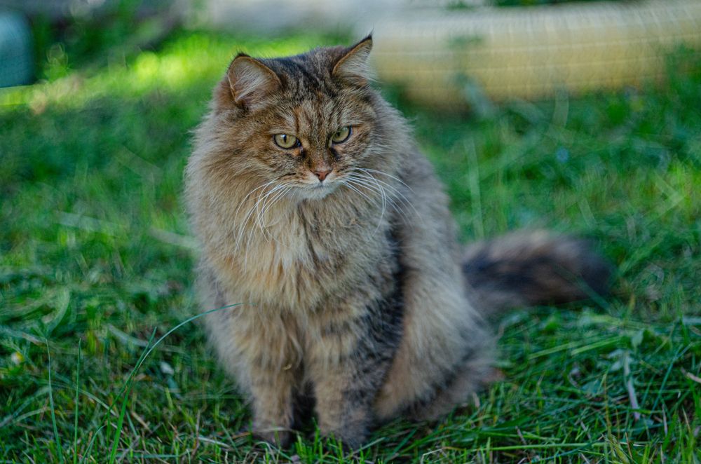 Photograph by Дмитрий Анисимов