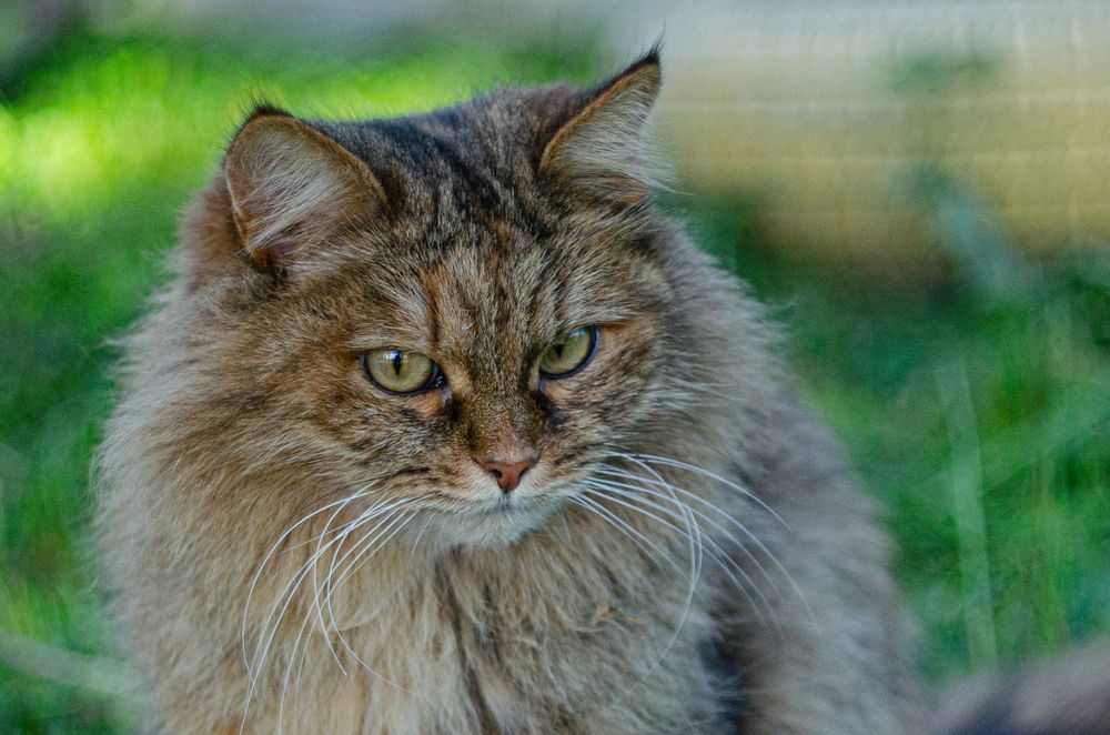 Photograph by Дмитрий Анисимов