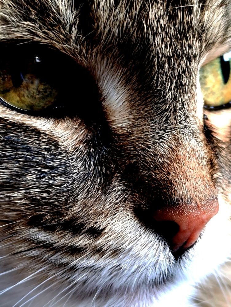 Photograph by Наталья Смирнова