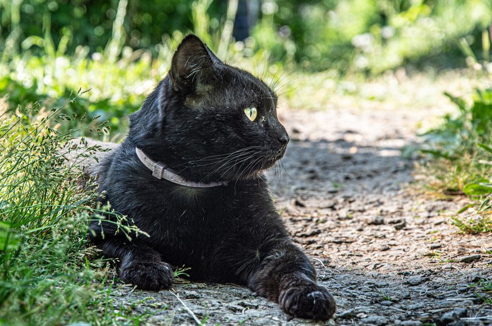 Photograph by Дмитрий Анисимов