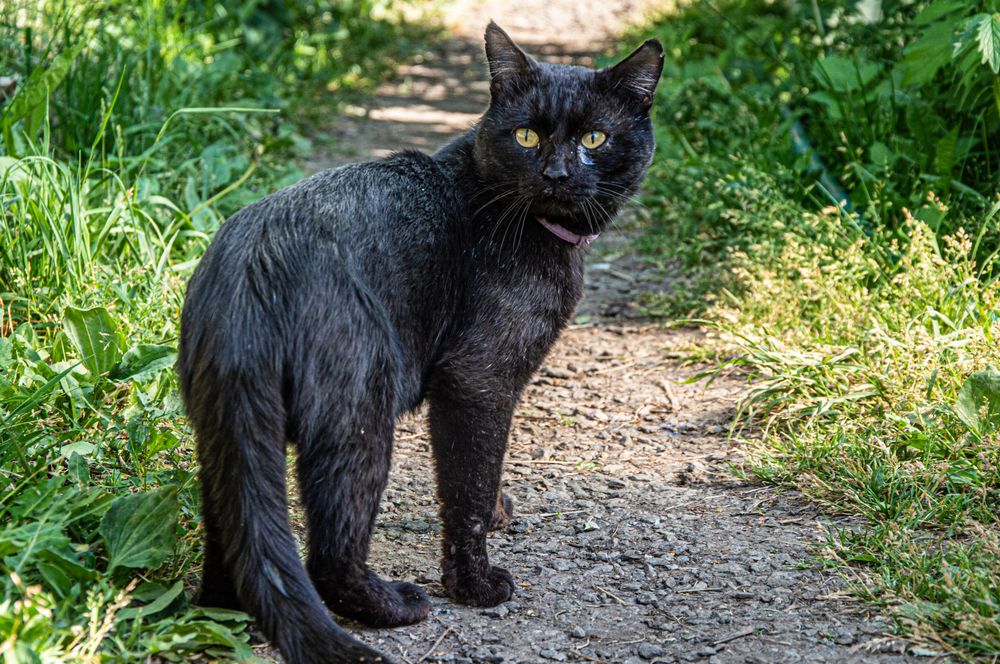 Photograph by Дмитрий Анисимов
