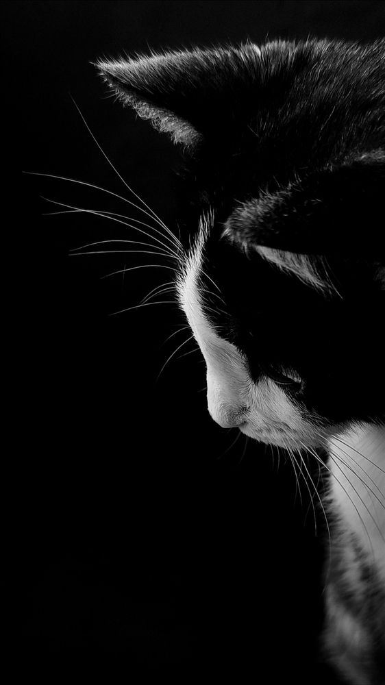 Photograph by Ирина Строкова