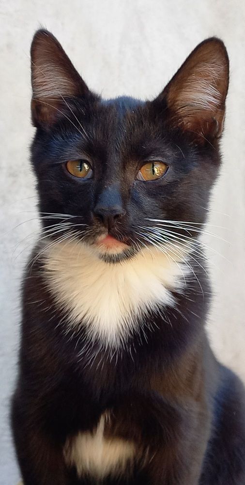 Photograph by Tigran