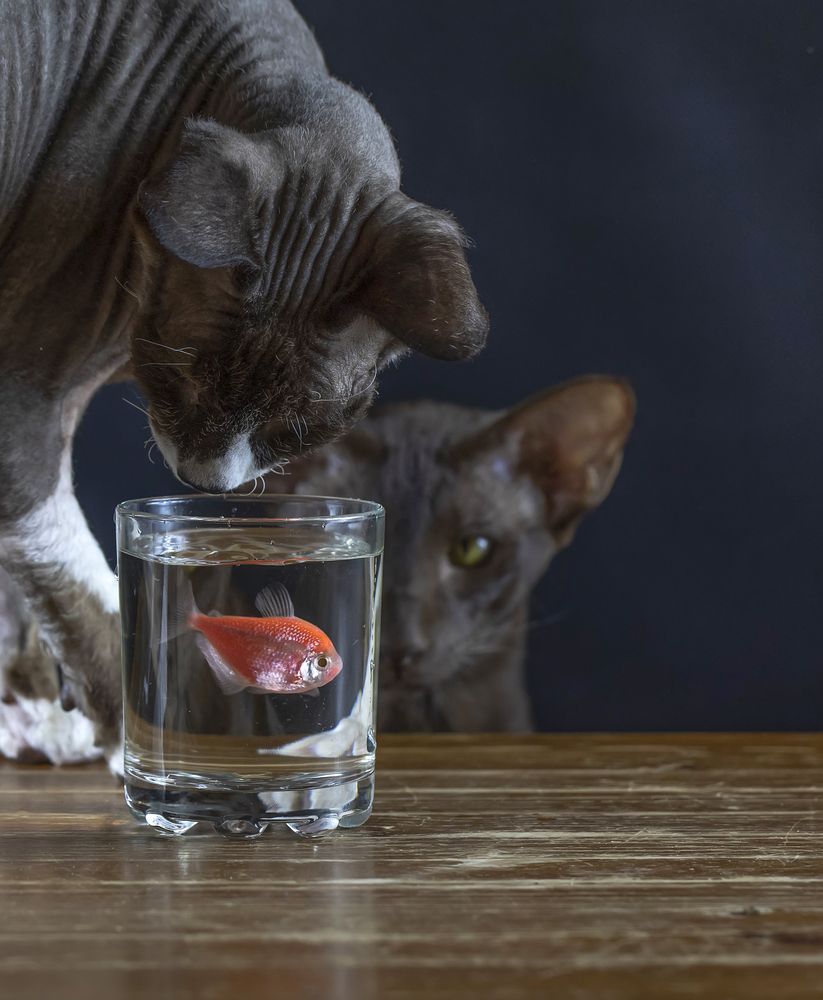 Photograph by Татьяна Феденкова