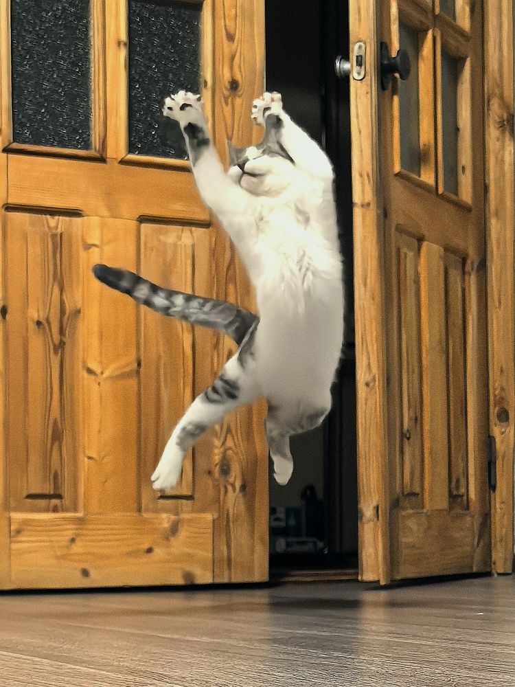 Фотография автора Александр Сипаров