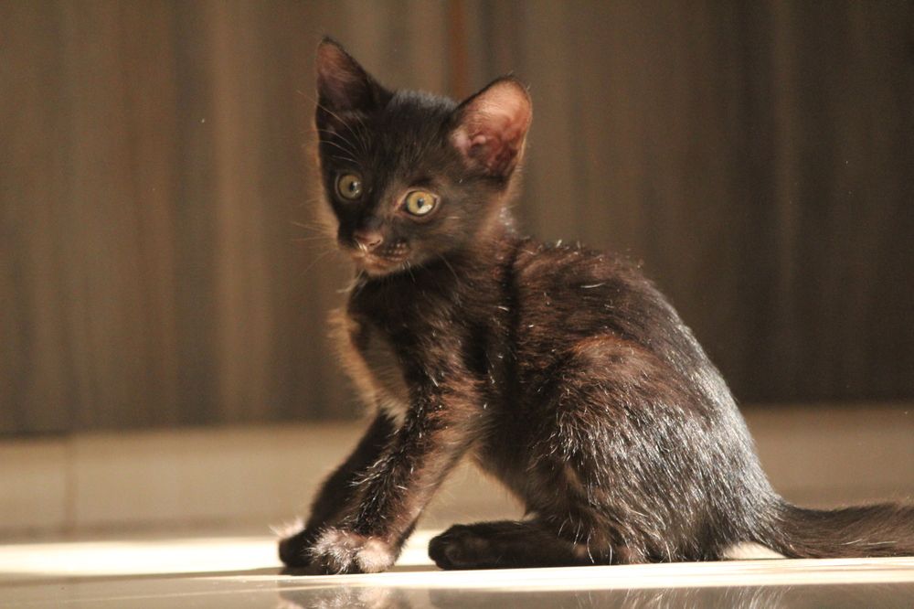 Photograph by Sharad vadoliya