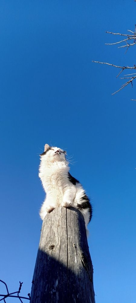 Photograph by Ольга Рубцова