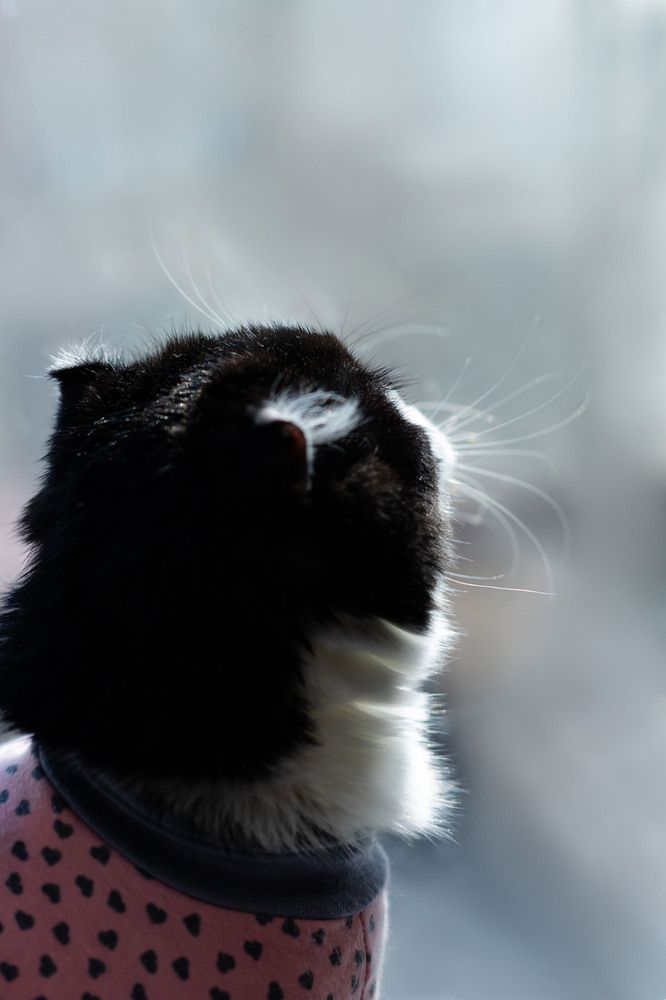 Photograph by Инна Леонтьева