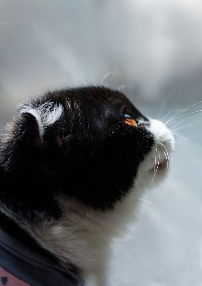 Photograph by Инна Леонтьева