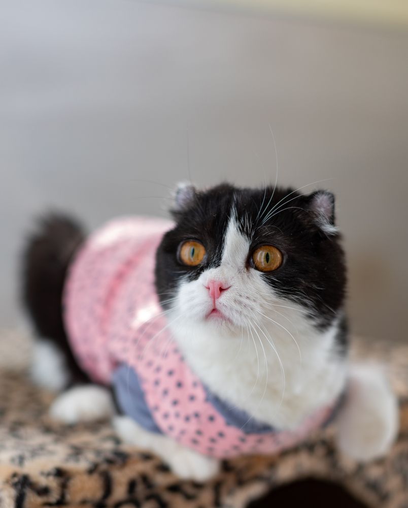 Photograph by Инна Леонтьева