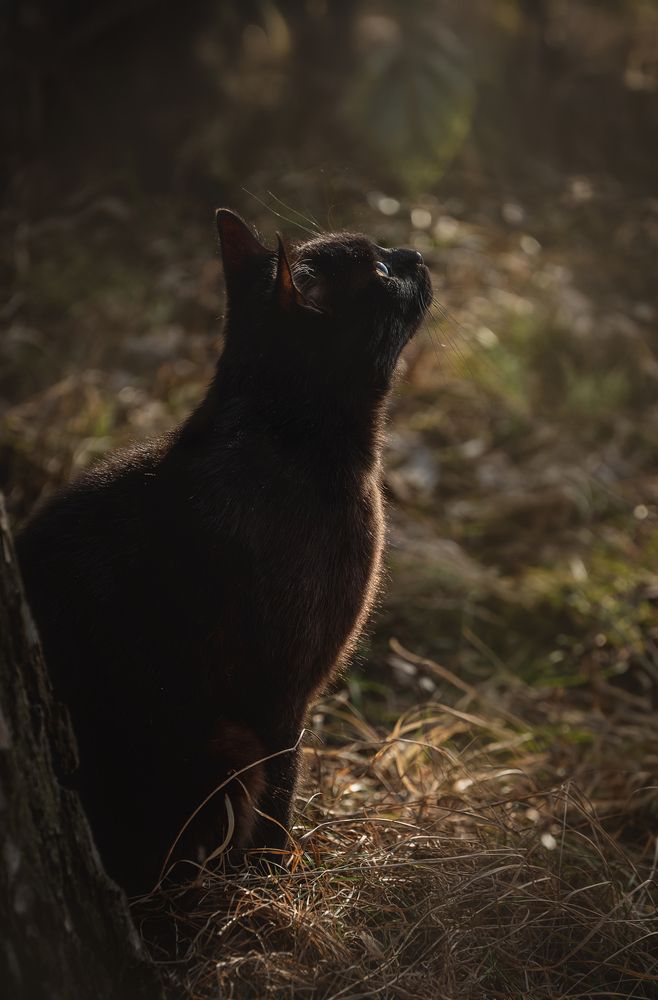 Photograph by Елена Коновалова