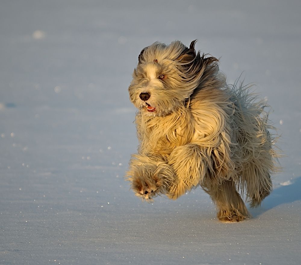 Photograph by Maximov Max
