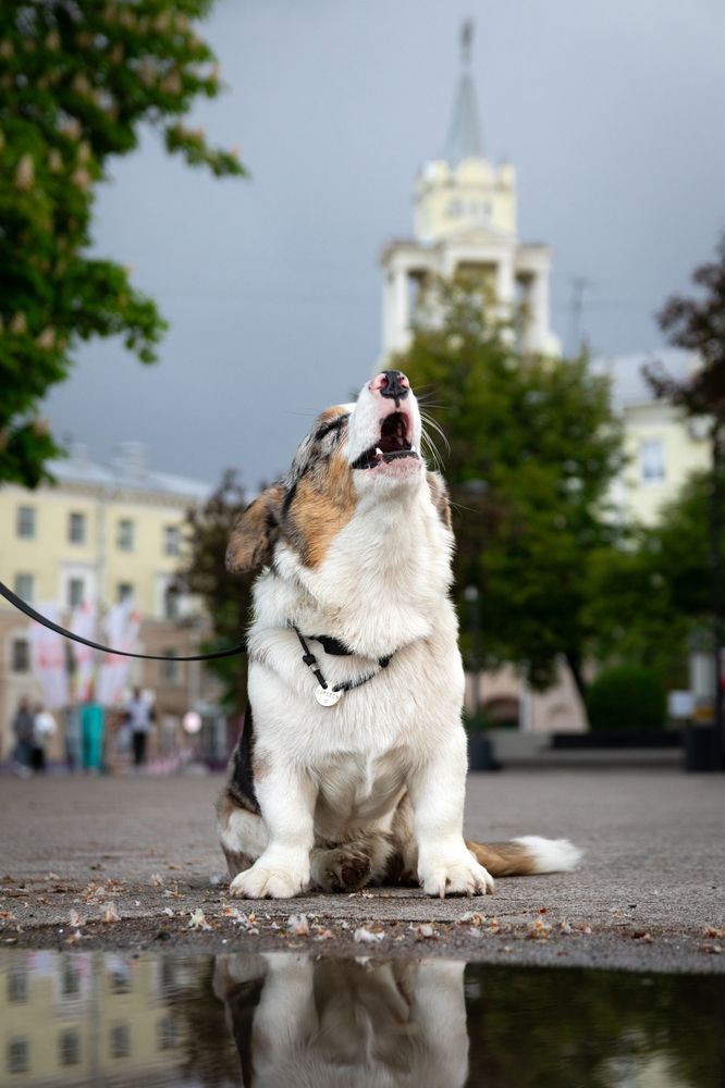 Photograph by Дмитрий Тимин