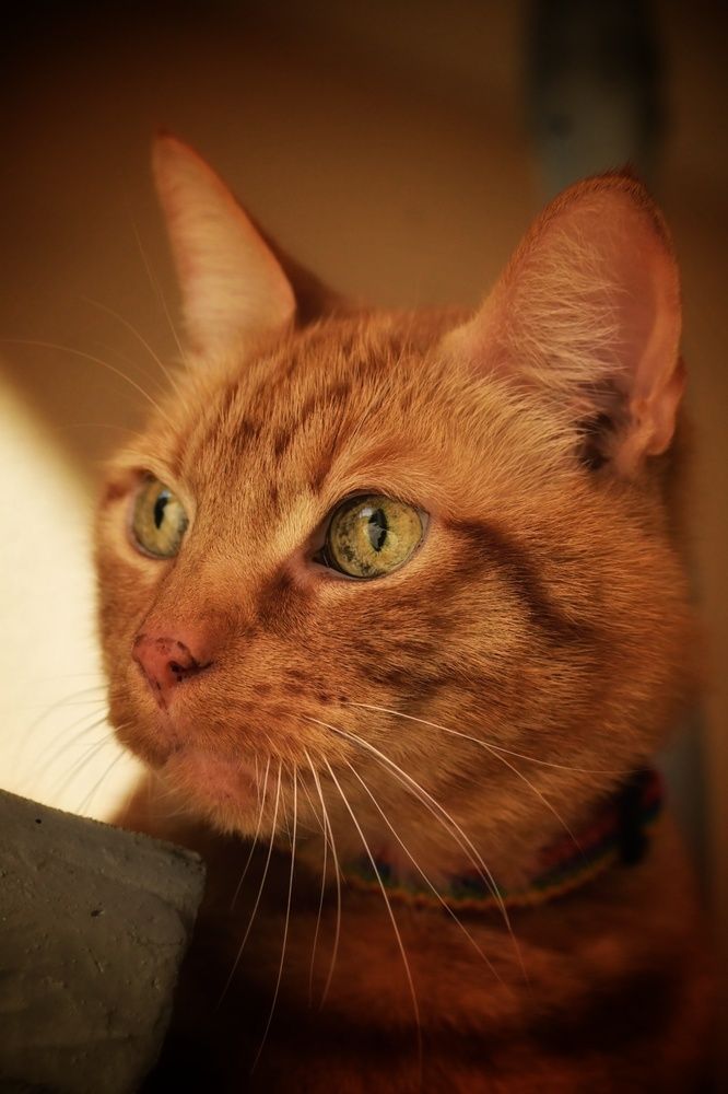 Photograph by Stella Szpinek