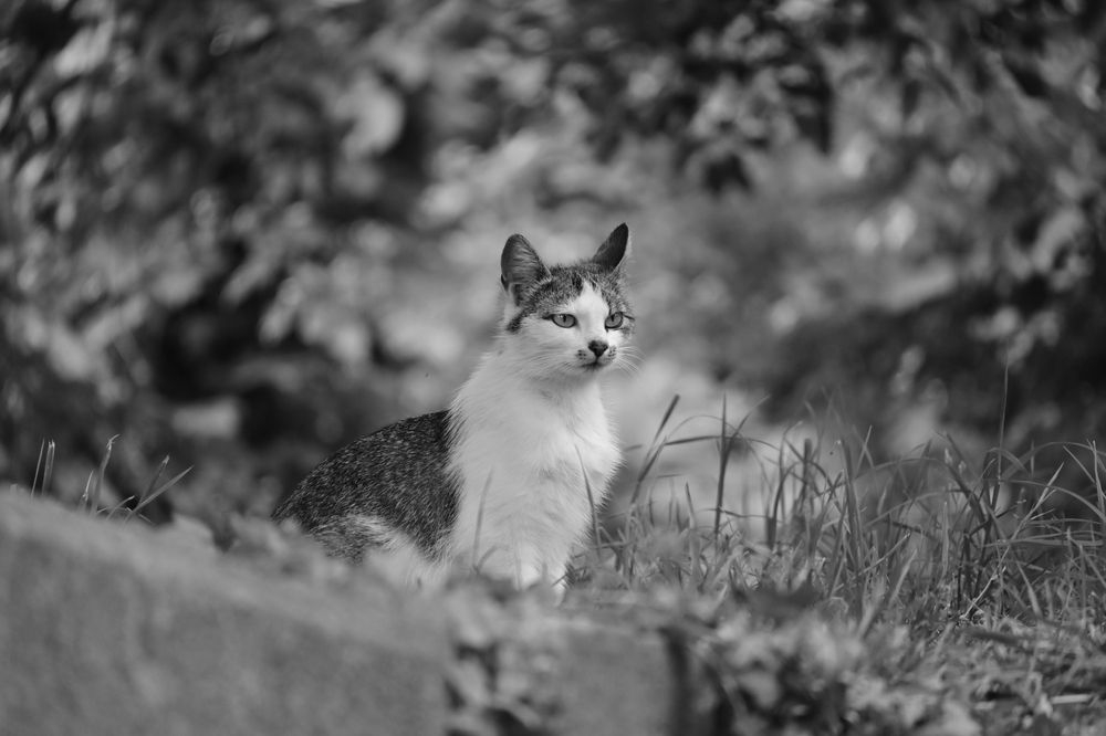 Photograph by Stella Szpinek