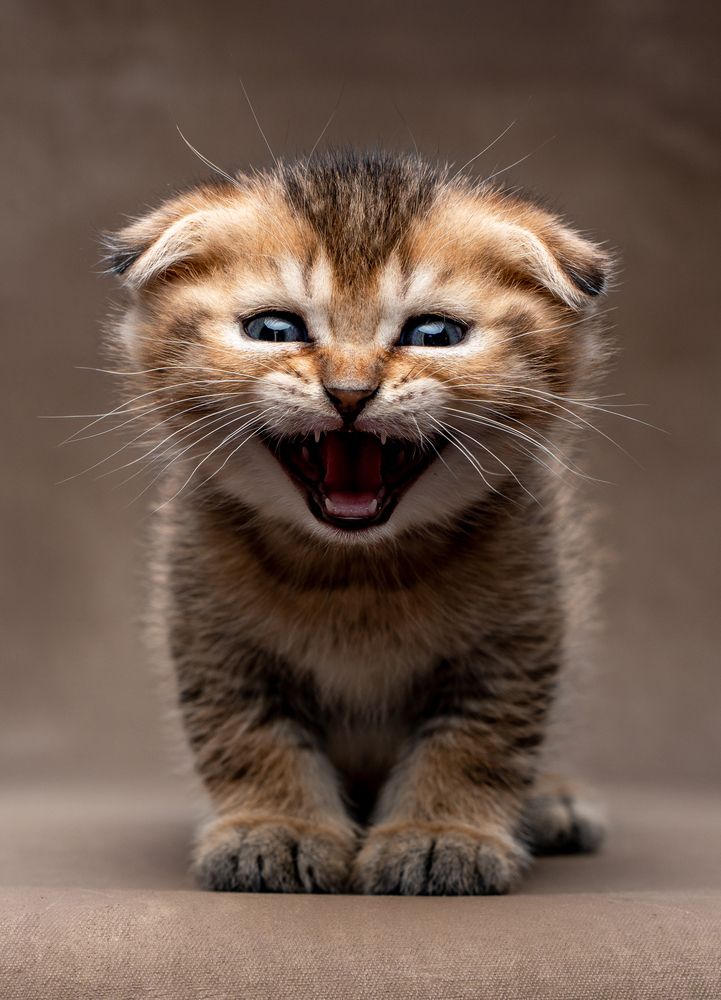 Photograph by Маори Мурр