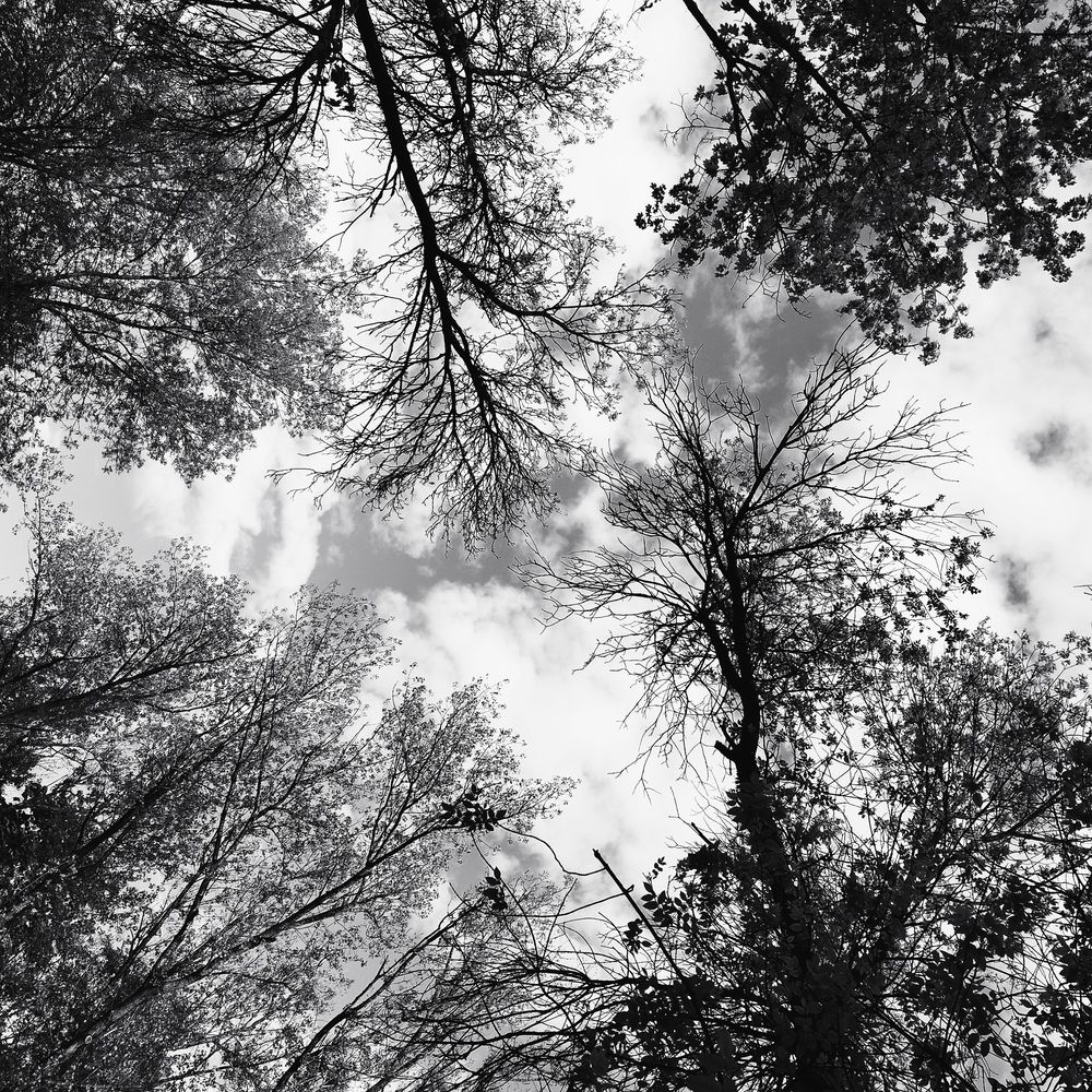 Photo #12209738