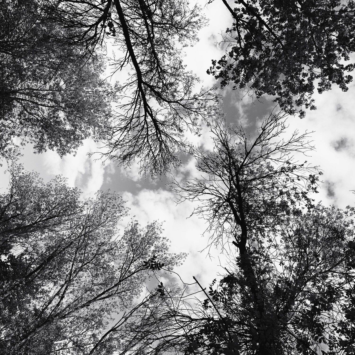 Photo #12209738