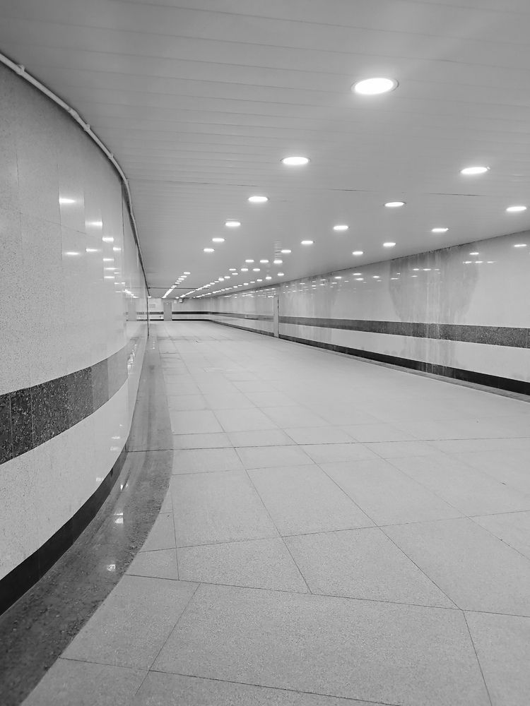 Photograph by Елена