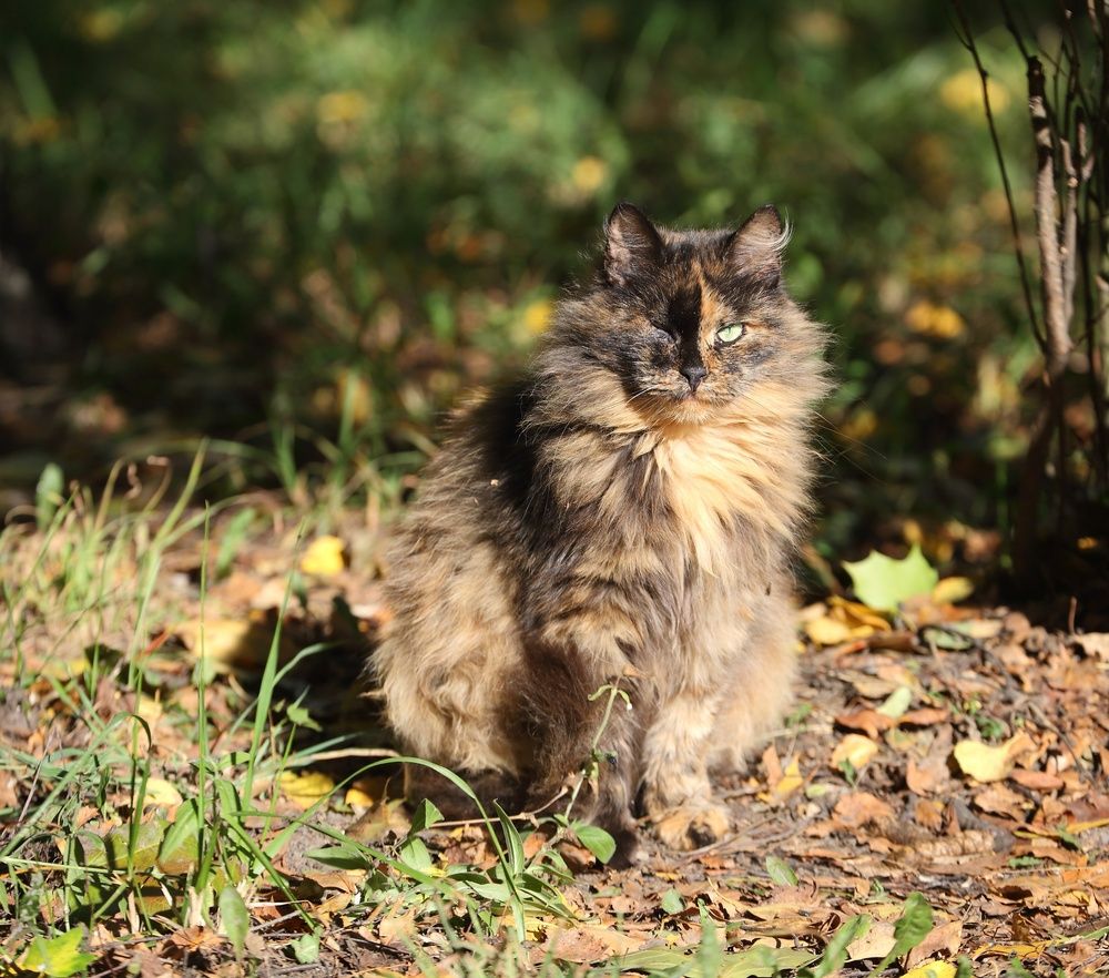 Photograph by Станислав Вершинин