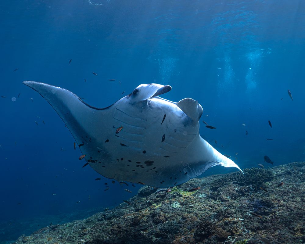 Photograph by Daria Sinitsina