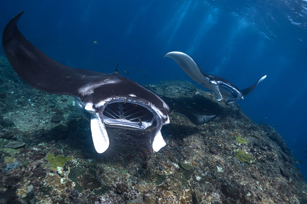 Photograph by Daria Sinitsina