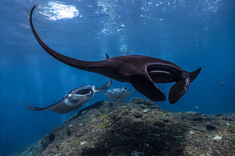 Photograph by Daria Sinitsina