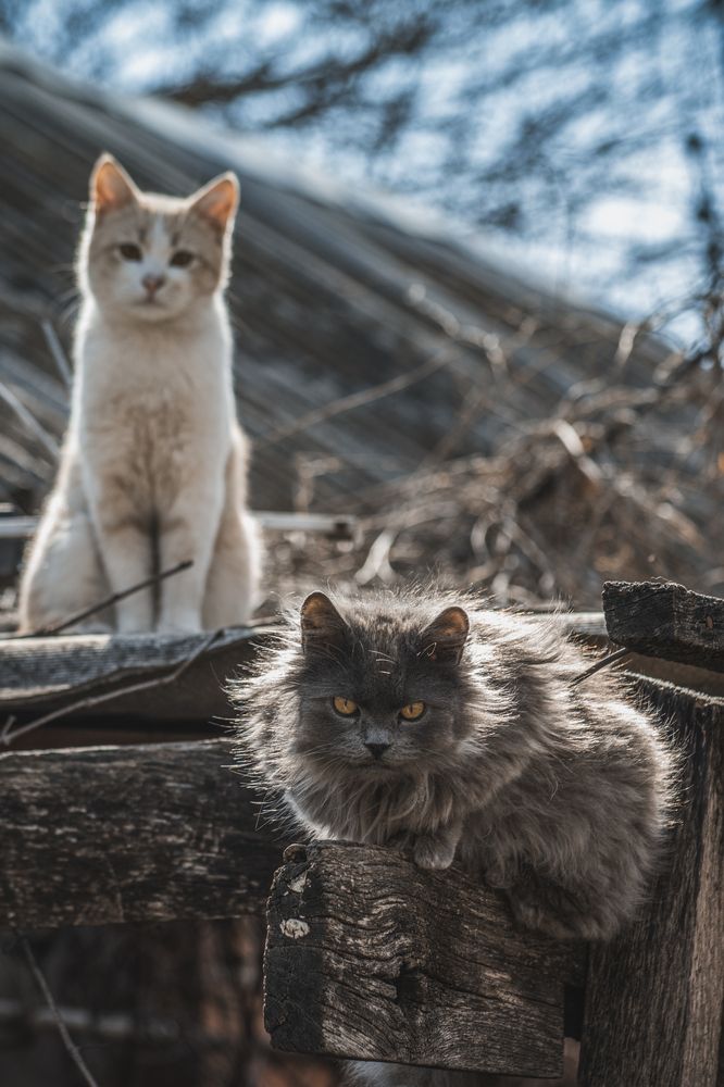 Photograph by Victoria Mogulyan