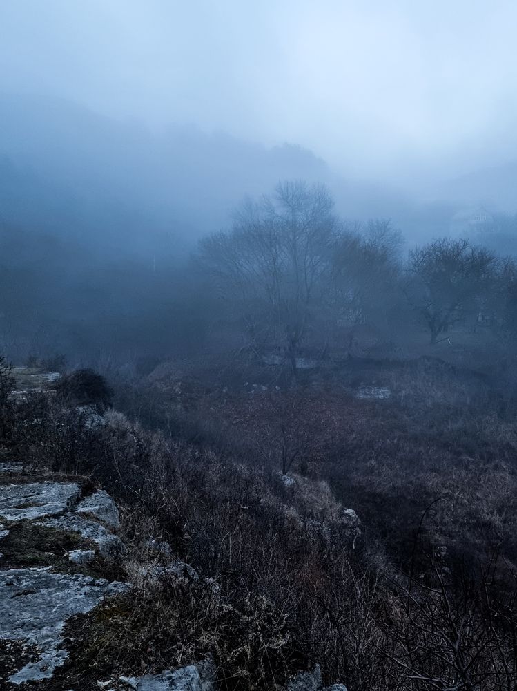 Photograph by Ольга Дёмина