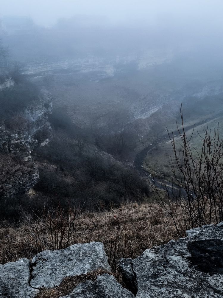 Photograph by Ольга Дёмина