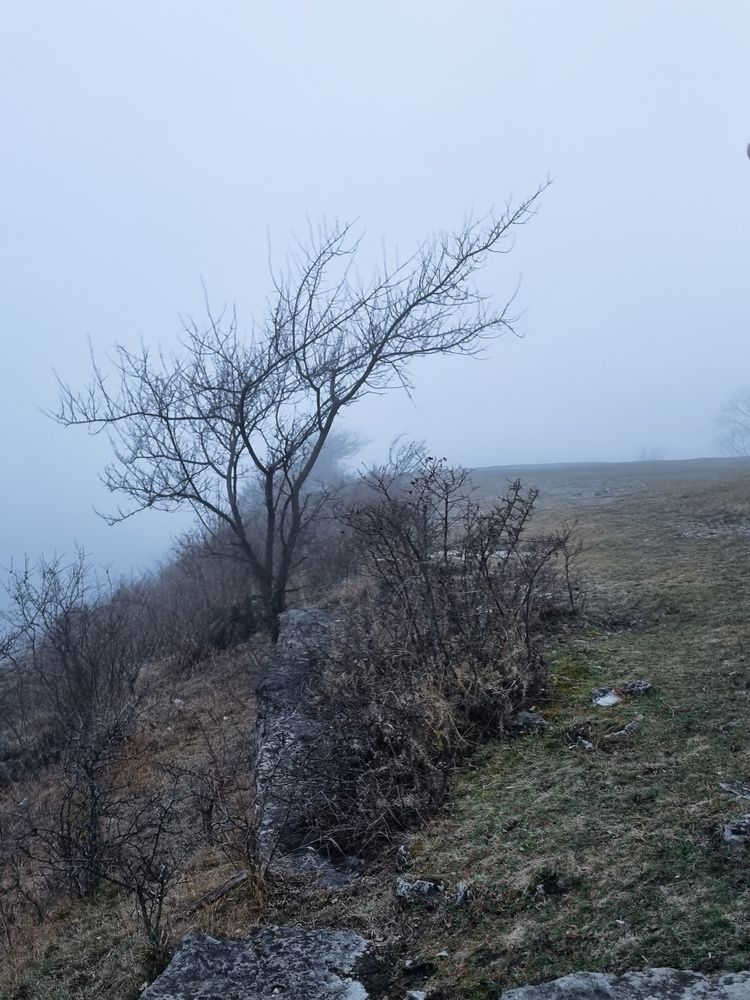 Photograph by Ольга Дёмина