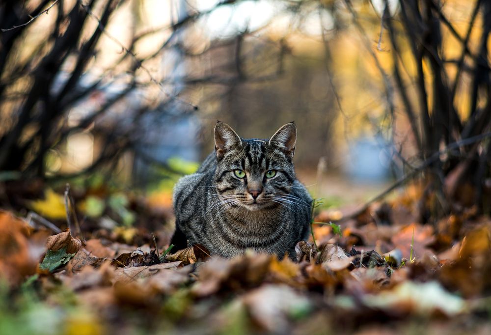 Photograph by Маори Мурр