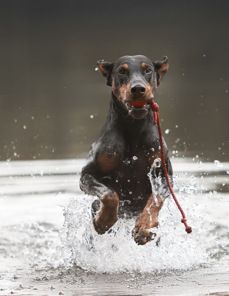 Photograph by Мария Клещенко