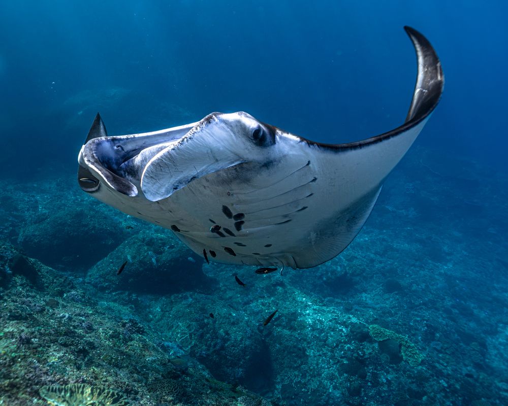 Photograph by Daria Sinitsina