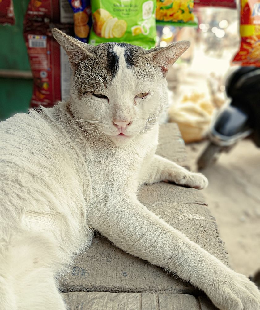 Photograph by Ayush Sah