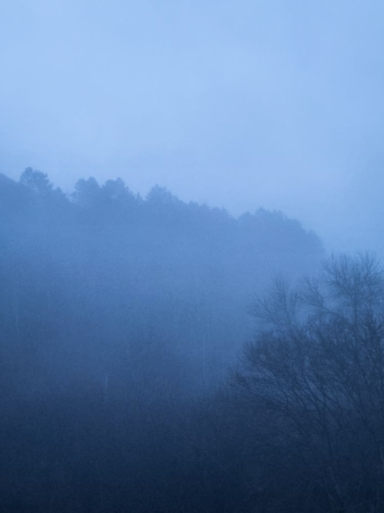 Photograph by Ольга Дёмина